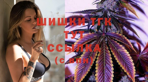 шишки Алексеевка
