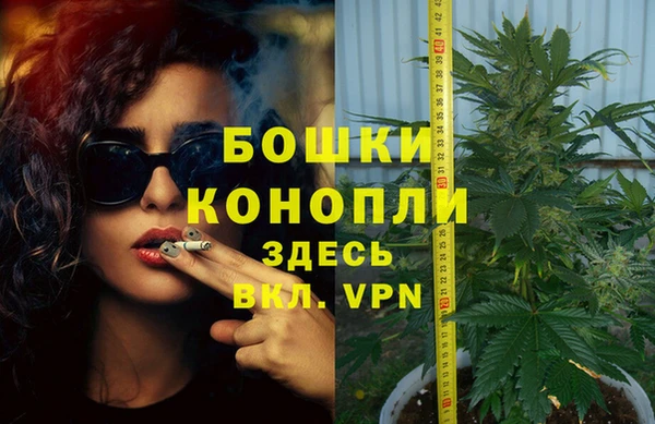 шишки Алексеевка
