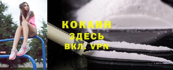 молекула духа Алексин