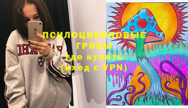 молекула духа Алексин