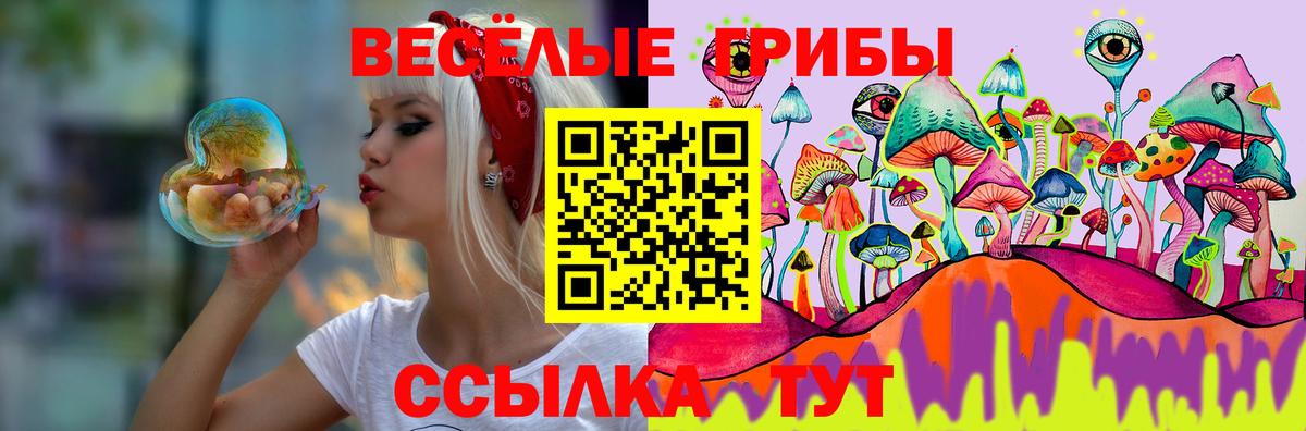 Саки  Галлюциногенные грибы мицелий  Вход с VPN  Галлюциногенные грибы мицелий 