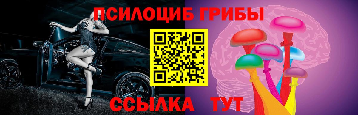 Галлюциногенные грибы Cubensis Саки